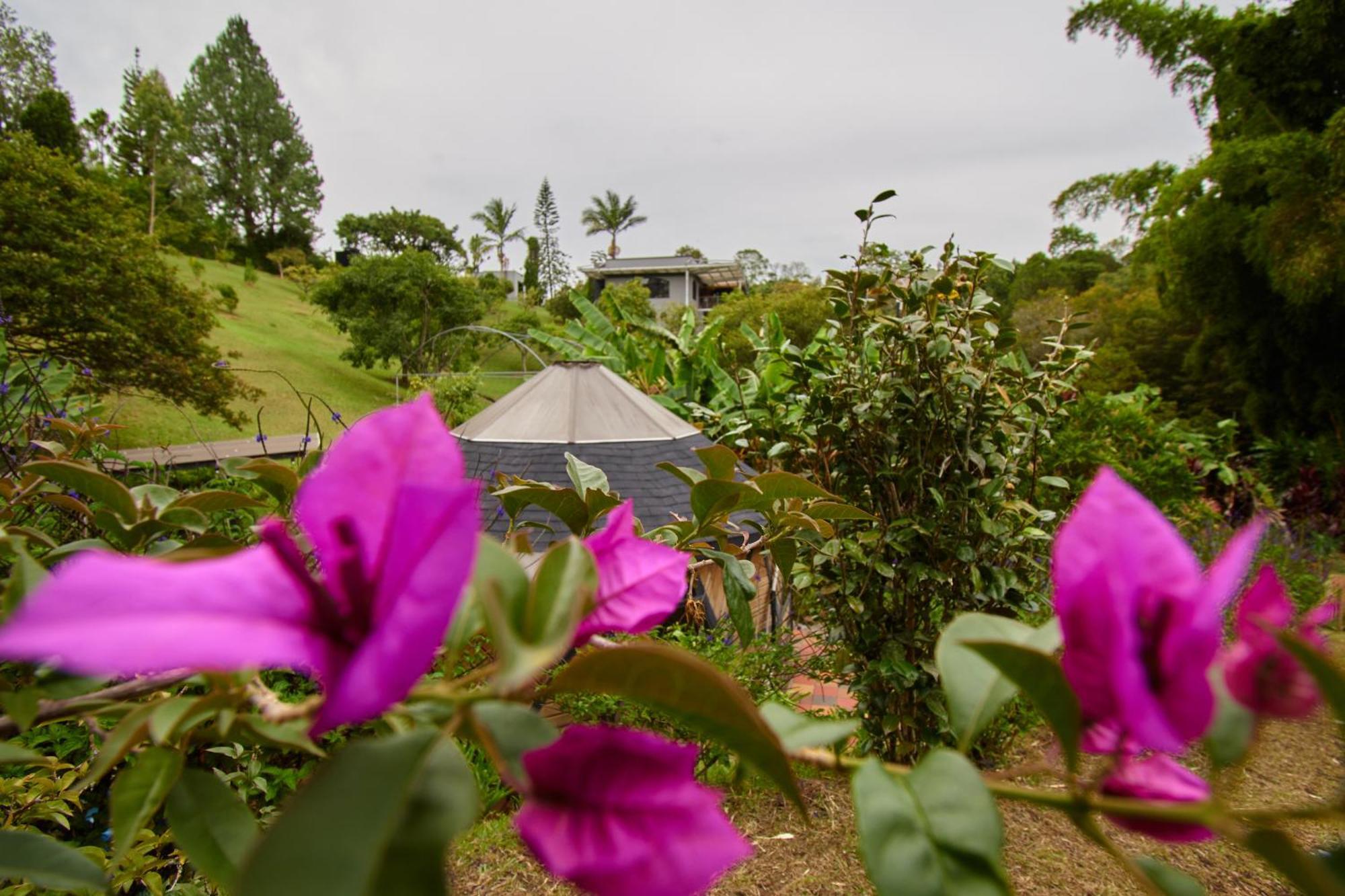 Kokumi By Bernalo Hotels Rionegro Eksteriør bilde